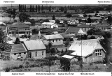 A View of Paeroa from Primrose Hill. c 1939